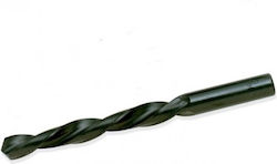 Ptg Profiline Τρυπάνι HSS για Μέταλλο 10mm Ptg Profiline Τρυπάνι HSS για Μέταλλο 10mm