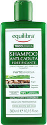 Equilibra Shampoos gegen Haarausfall 300ml