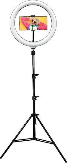 Volte-Tel Ring Light 33.02cm και Βάση για Κινητό