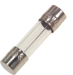 8A Cylindrical Glass Fuse (5904097801185)