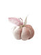 LiebeQueen Lucky Charm Pumpkin Pink 1pcs