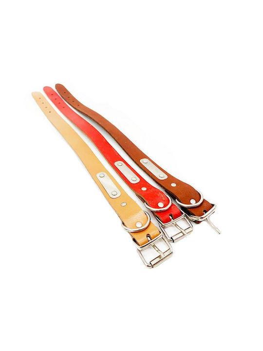 Vltools Hundehalsband Leder