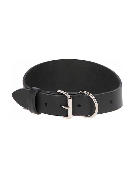 Kerbl Dog Collar 15mm x 35cm