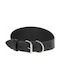 Kerbl Dog Collar 15mm x 35cm