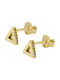 Earrings made of Gold 14K