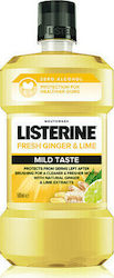 Listerine Fresh Ginger & Lime Mild Καθημερινής Προστασίας 500ml Listerine Fresh Ginger & Lime Mild Καθημερινής Προστασίας 500ml