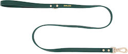 Dog Leash/Lead Strap Green