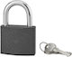 Serruprix Padlock Brass with Key 50mm Gray 1pcs