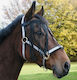 Kerbl Protective Fly Eyes Black Cob Kerbl