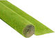 Noch Plant Mockup Grass Paper Mat
