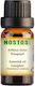 Nostos Pure Καμφορά Camphor Αιθέριο Έλαιο Camphor 10ml