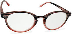 Kyros Reading Glasses +1.50 in Brown color 419C1+1.50