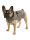 Kerbl Hundemantel Wasserdicht Braun mit Rückenlänge 35 cm.