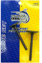 Set Supape 28-24 Astrea Espada