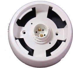 Bassiakos Light Socket Bassiakos Light Socket