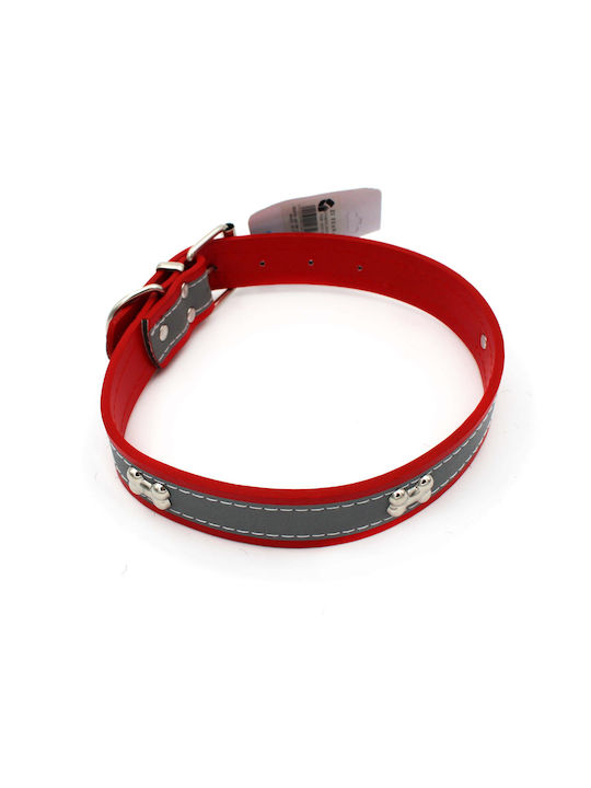 Hundehalsband in Rot Farbe