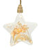 Kaemingk Crăciunesc Decorativ Suspendata Stea Plastic 20x20x20buc 1buc