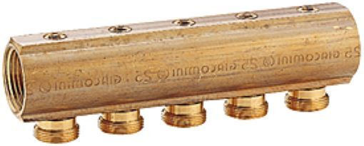 Giacomini Colector - Colector Țeavă Alamă R585Y007