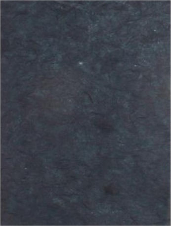 Clairefontaine Χαρτόνι A4 Μπλε 12 Φύλλα
