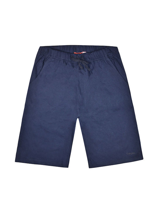 Energiers Kids Shorts/Bermuda Fabric Blue