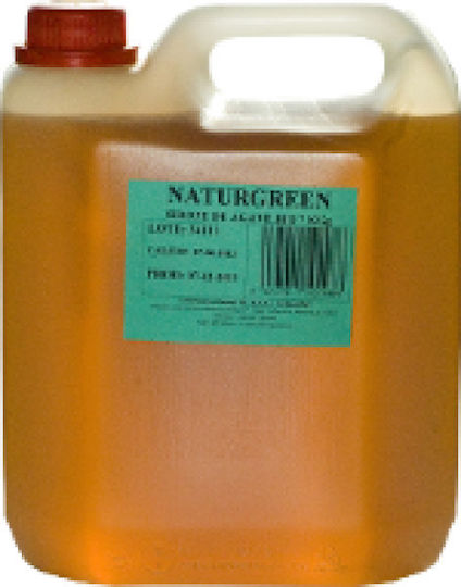 NaturGreen Agave Syrup 7000gr