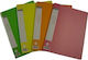 Avant Clipboard Flexible with 20 plastic sleeves Slides for Paper A4 (Μiscellaneous colours) 1pcs