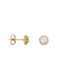 Earrings made of Gold 14K