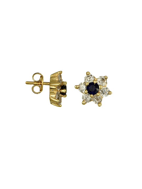 Earrings made of Gold 14K