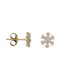 Earrings made of Gold 14K