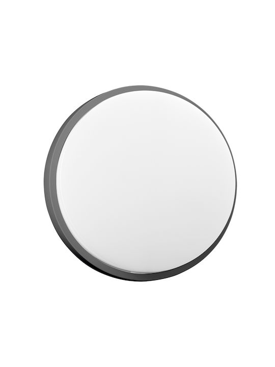 Adviti Wandmontierte Außenleuchte LED IP54 10W mit Natürliches Weiß Licht