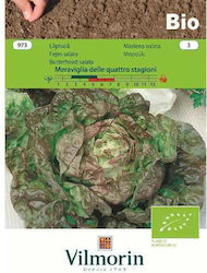 Vilmorin Seeds Lettuce Organic Cultivation