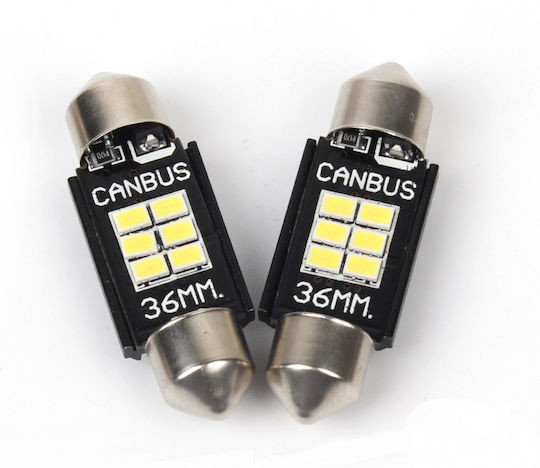 Festoon Car Lamp Canbus LED 6000K Cold White 2W