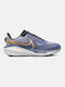 Nike Vomero 17 Γυναικεία Αθλητικά Παπούτσια Running Diffused Blue / Ashen Slate / White / Metallic Gold