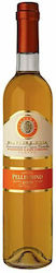 Cantine Pellegrino Κρασί Pantelleria Passito Μοσχάτο Λευκό Ημίξηρο 500ml