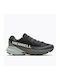 Sport Shoes Running Black