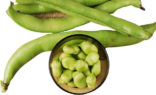 Evotris Σπόροι Κουκιών 250gr