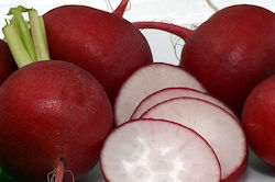 Γενική Φυτοτεχνική Αθηνών Seeds Radish