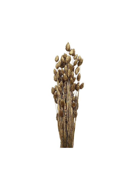 Dried Plant 55cm 1pcs