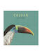 Chic Mic CNV023