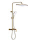 Sparke Shower Column with Mixer Gold