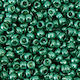 Titanum Χάντρα Χειροτεχνίας Πράσινη 3mm 10gr