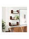 Shelves Wall Brown 3pcs 40x16x14cm