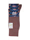 Dal Socks Brown (Brown)