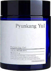 Pyunkang Yul Gel 100ml