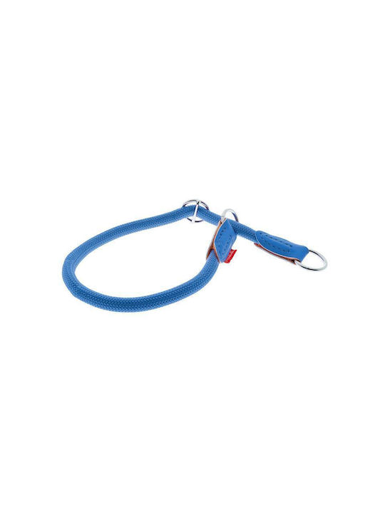 Ferribiella Dog Collar in Blue color