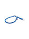 Ferribiella Dog Collar in Blue color