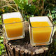 Insect Repellent Candle for Mosquitoes 2pcs