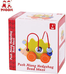 Hedgehog for 24++ Months