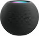 Apple HomePod mini Black Smart Hub with Speaker...