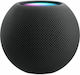 Apple HomePod mini Smart Hub mit Lautsprecher K...